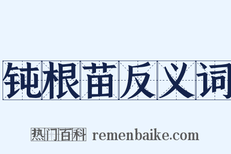 钝根苗反义词是什么意思的图片
